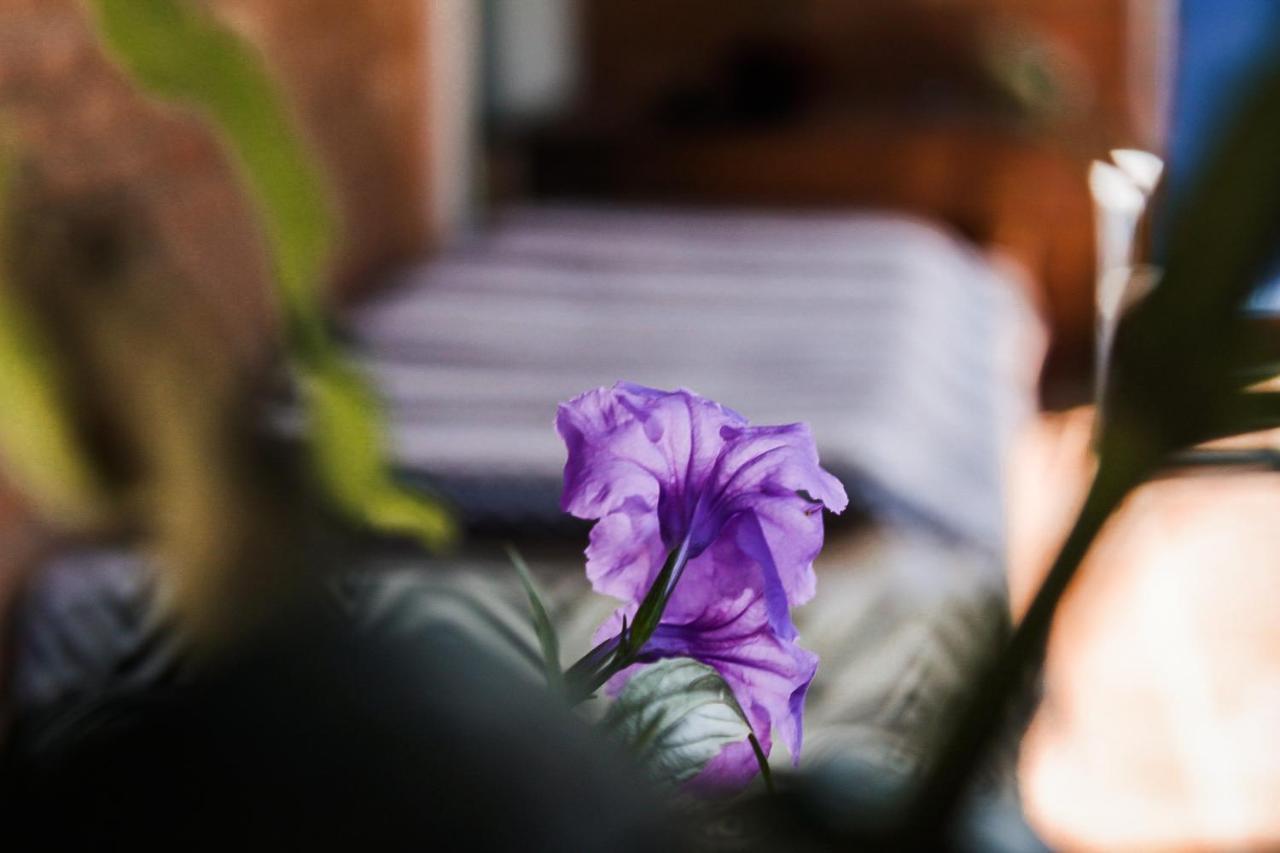 Casa Ka'A Hostel Убатуба Экстерьер фото